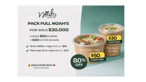 PACK FULL NOAHS: Bowl Tapa 1300 CC (300 un) + POTE SOPA + Tapa 12 OZ (500 un)