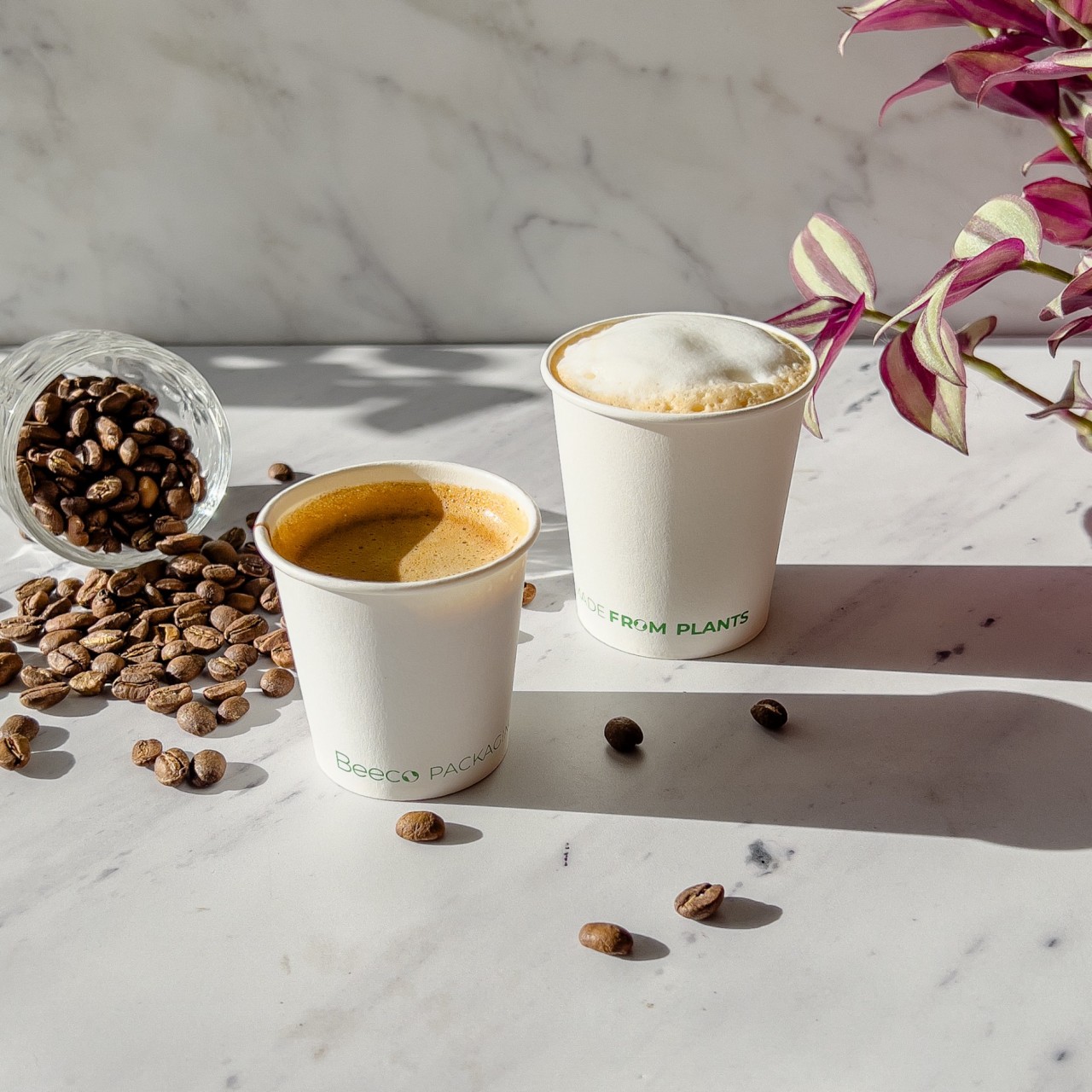 Vaso Café 6oz - Papel FSC